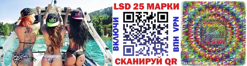 Марки NBOMe 1,8мг даркнет сайт ОМГ ОМГ сайт Гаджиево